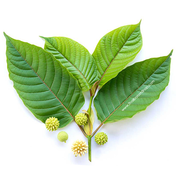 Red Maeng Da Thai Kratom